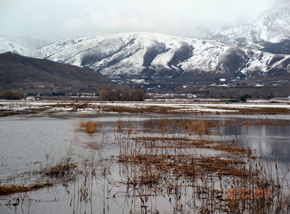 Flooding (Spring)