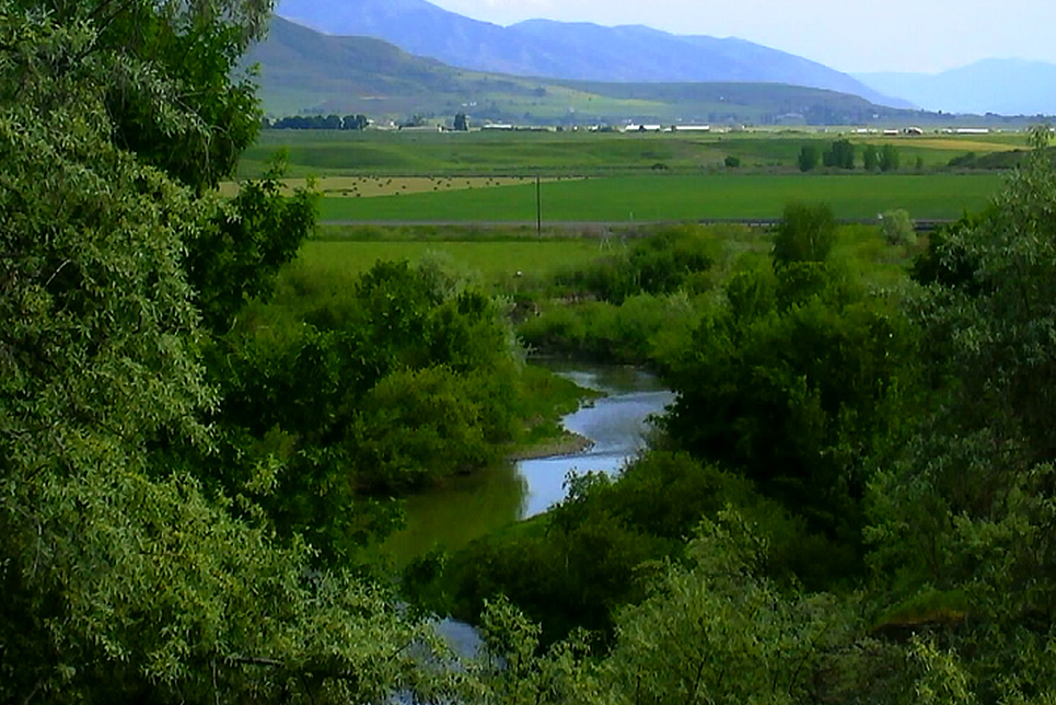 Cub River (Stream Management)