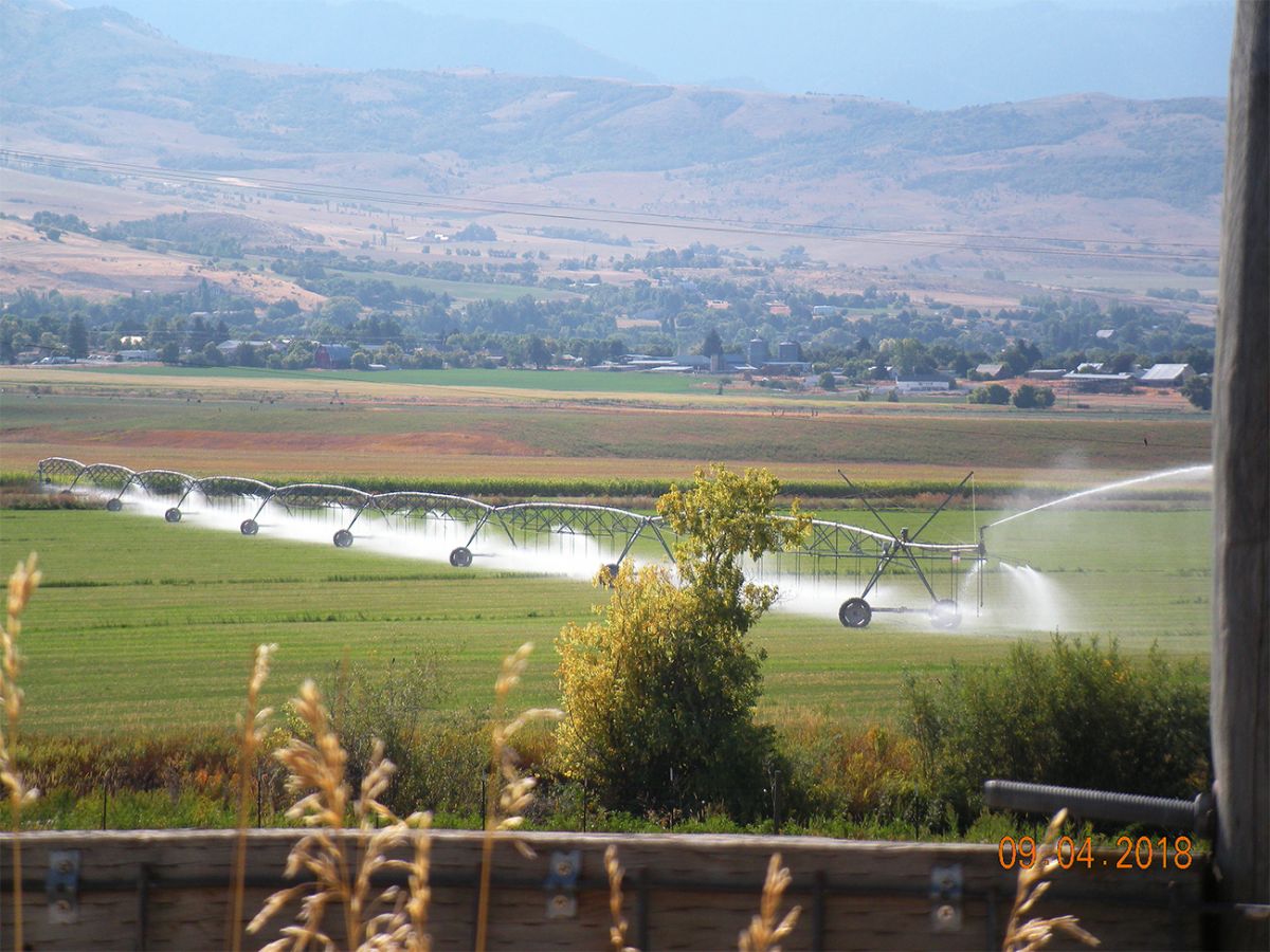 Water Irrigation