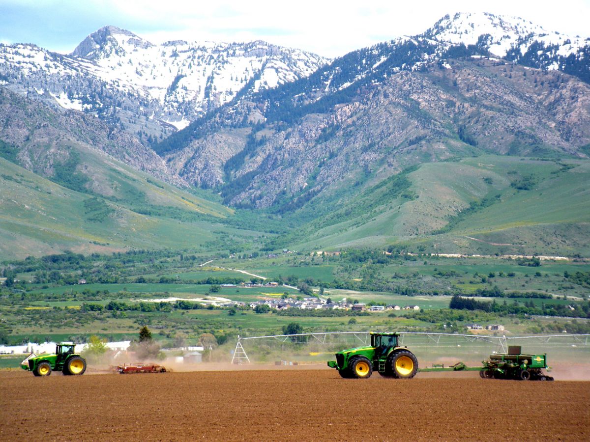 Tractor in Field